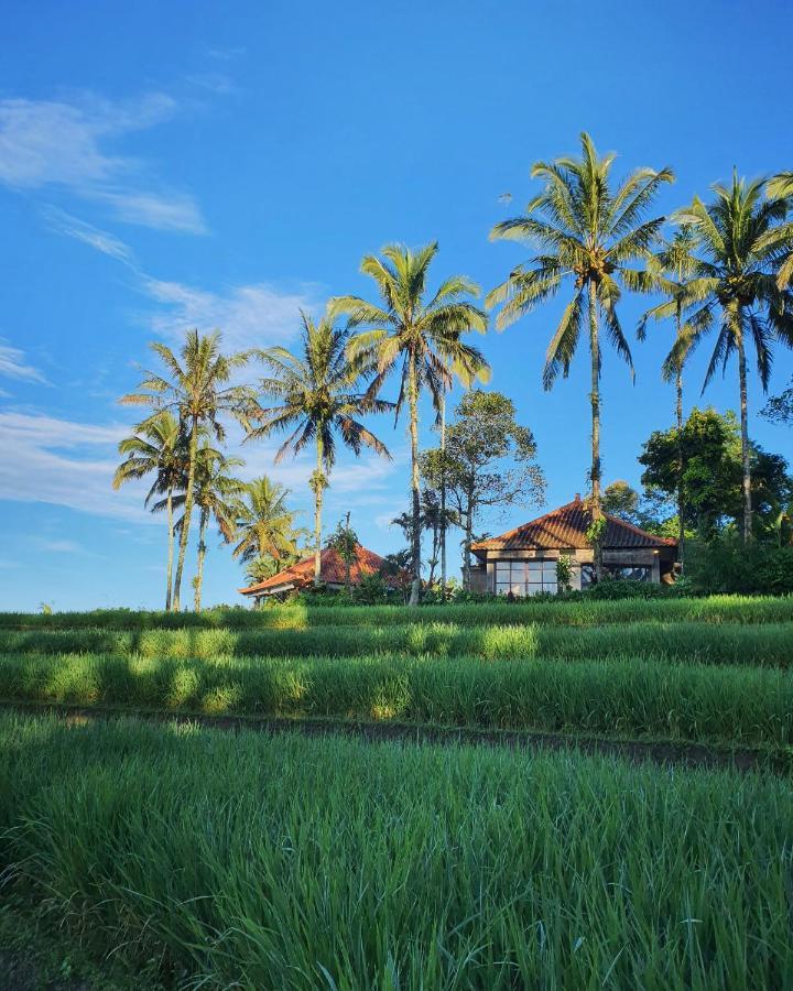 Hotel Sava Eco Retreat Padangan  Esterno foto