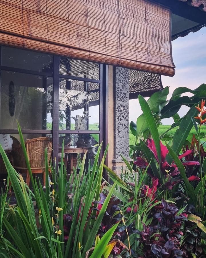 Hotel Sava Eco Retreat Padangan  Esterno foto