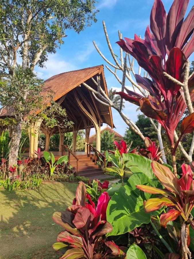 Hotel Sava Eco Retreat Padangan  Esterno foto