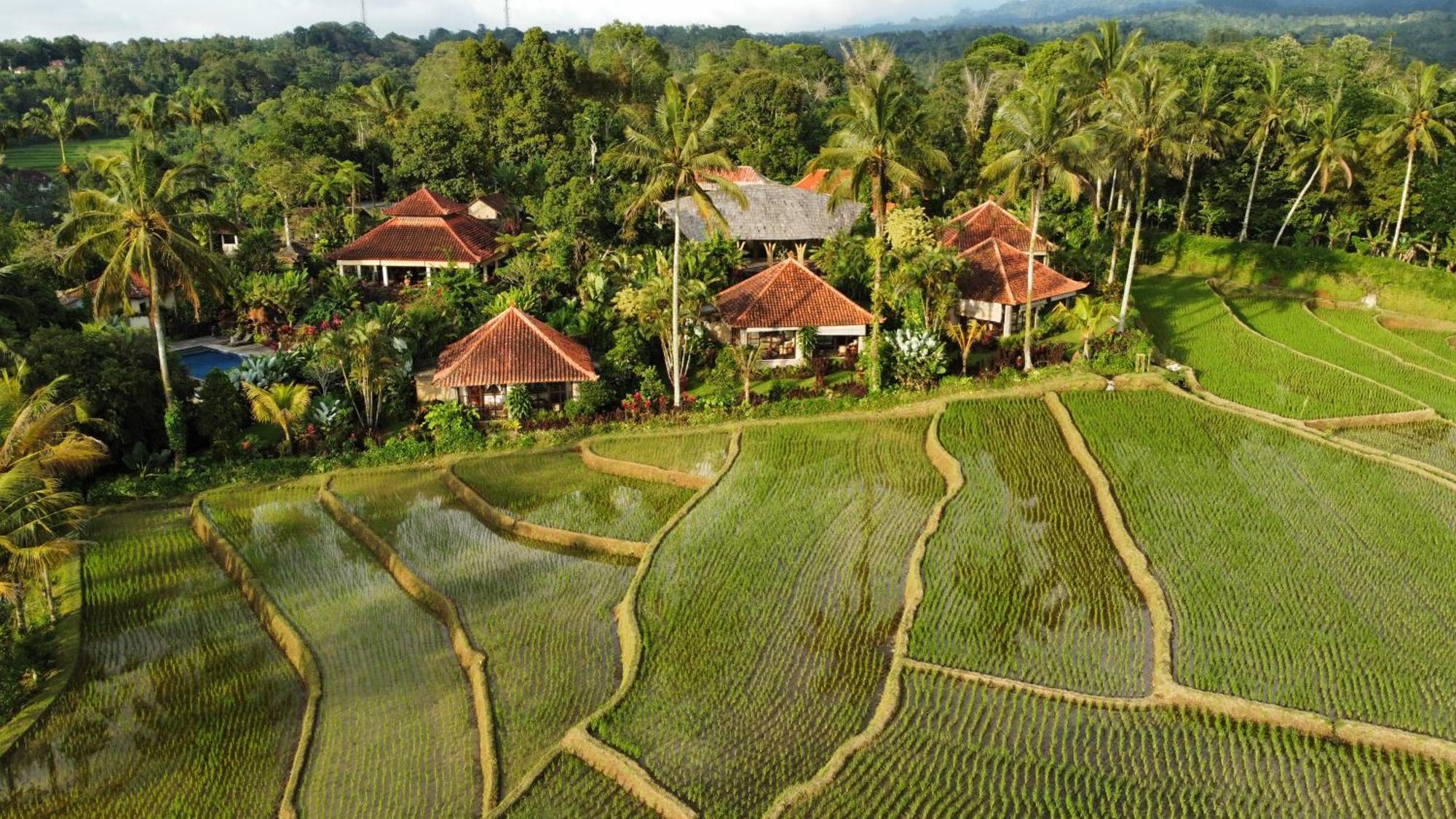 Hotel Sava Eco Retreat Padangan  Esterno foto